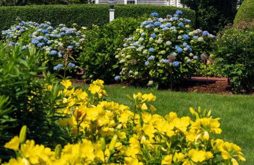 Chatham Cama Y Desayuno | Old Harbor Inn