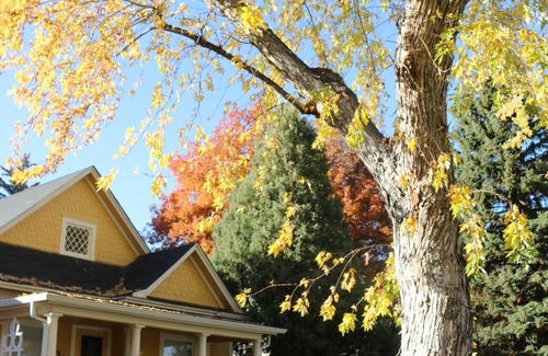 Longmont Casa | Old Town Longmont 3 Bedroom Home
