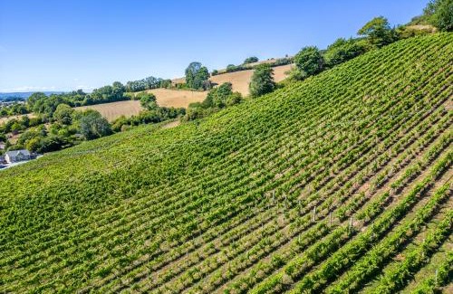 Teignmouth Cabina | Old Walls Vineyard