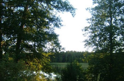 Bergshamra Otro | Older cottage by the lake with a boat in Roslagen