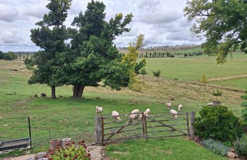 Walcha Cama Y Desayuno | OLDGREENWELLS B&B