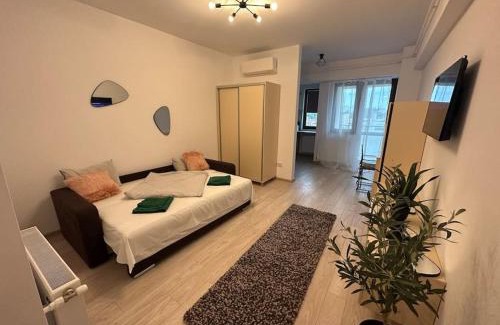 Iasi Apartamento | Olive - a fresh beginning