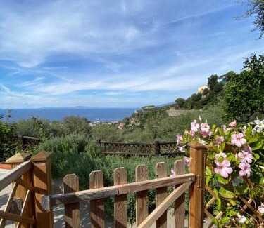 Sorrento Casa | Olive - Cottage moderno tra gli ulivi di Sorrento