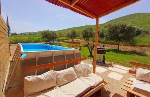Yavne'el Otro | Olive Dome - כיפה גיאודזית ענקית ומודרנית בין עצי הזית