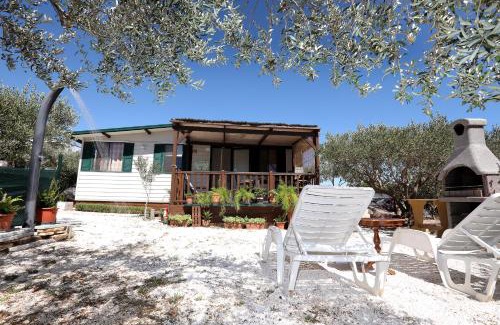 Trogir Complejo | Olive garden Trogir - mobil home