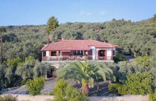 Kalamos Villa | Olive Grove House
