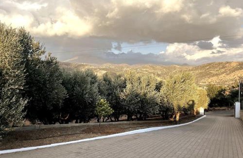 Agia Galini Villa | Olive Grove Serenity villa