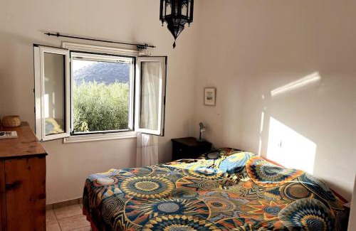 Agia Galini Villa | Olive Grove Serenity villa