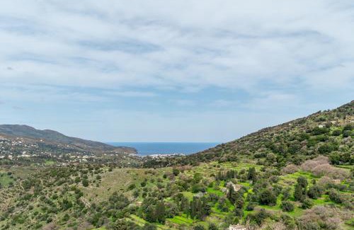 Andros Town Apartamento | Olive Guesthouse Junior
