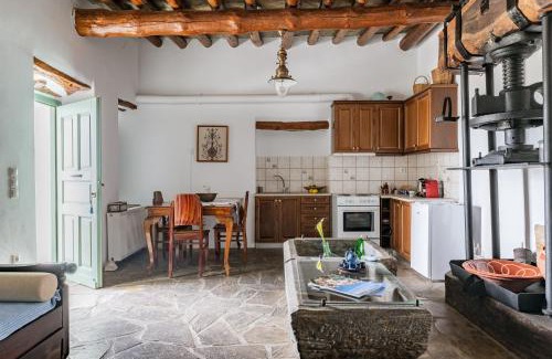Andros Town Apartamento | Olive Guesthouse Junior