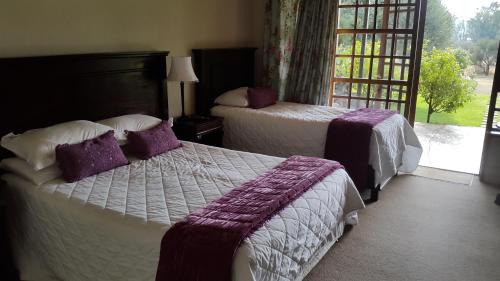 Bloemfontein Casa | Olive Hill Country Lodge