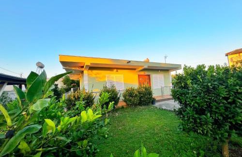 Rade Casa | OLIVE Home