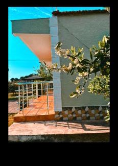 Rade Casa | OLIVE Home