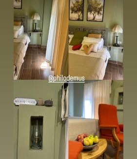 Umm Qais Casa | Olive house