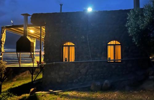 Umm Qais Casa | Olive house