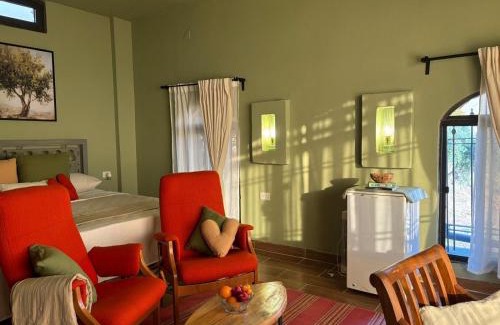 Umm Qais Casa | Olive house