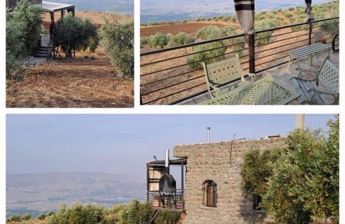 Umm Qais Casa | Olive house