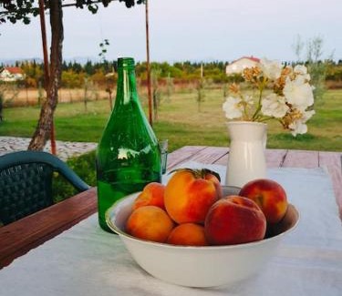 Mahala Apartamento | Olive house (near the airport)
