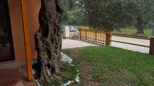 Ulcinj Cabina | Olive Paradise