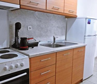 Metagkitsi Casa | Olive Tree Apartment M
