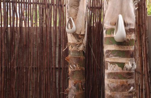 Upington Cama Y Desayuno | Olive Tree B&B