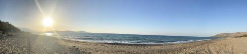 Filaki Casa | Olive Tree Farm 200m from the beach