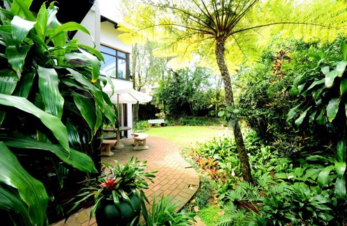 Berea Casa | Oliveroom Self Catering and B&B