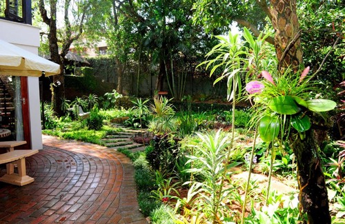 Berea Casa | Oliveroom Self Catering and B&B