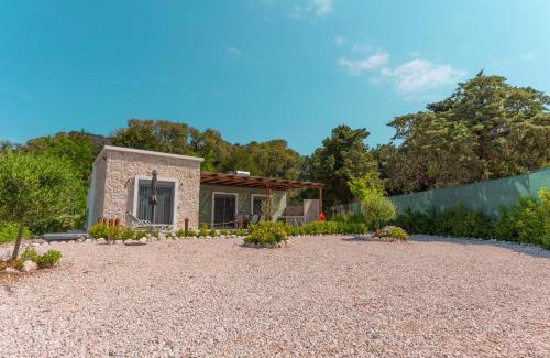 Pastida Villa | Oliveto A Flumine - Experientia Villa