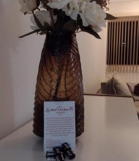 Candeias Apartamento | Olivia Flores great location