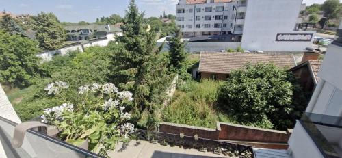 Petrovaradin Apartamento | Olja's private apartment