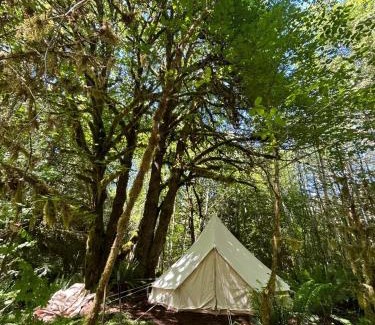 Port Angeles Otro | Olympic Glamping
