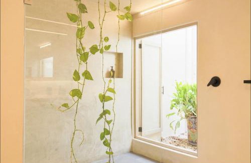 Alfredo V. Bonfil Apartamento | OMA CANCUN - Holistic Healing Center