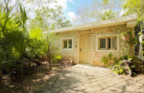 Alfredo V. Bonfil Apartamento | OMA CANCUN - Holistic Healing Center