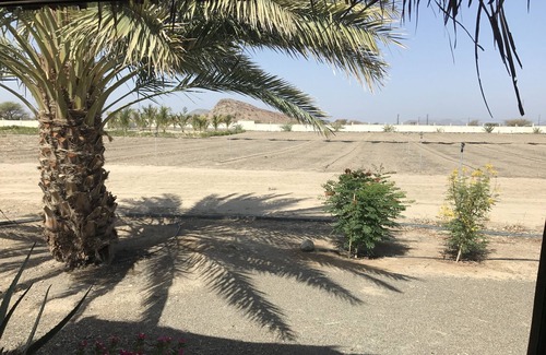 Ash Sharqiyah North Governorate Cabina | Escapada de Omán: cabaña ecológica Sidr, desierto cercano, montañas, fortalezas y pueblo