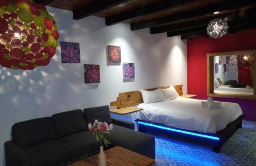 Barrio de Guadalupe Apartamento | On Lofts San Cristóbal Clandestino