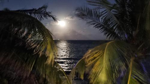 Puerto Juarez Apartamento | On The Beach - Seaside Sunrise Haven 3 Bedrooms SEA VIEW
