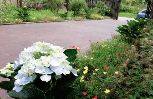 Huong Thuy Casa | ONA HOME - Entire Hue-styled garden house nearby a pine hill