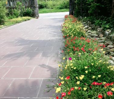 Huong Thuy Casa | ONA HOME - Entire Hue-styled garden house nearby a pine hill