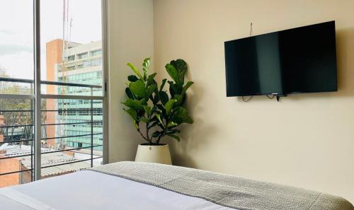 Chico Norte Apartamento | Once by Wynwood House