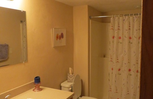 Pickett Casa | One bedroom and full bath in home 2 miles from EAA. Area with TV & refrigerator.