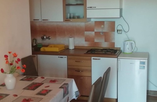 Mandre Apartamento | Apartamento de una habitación en la playa Mandre, Pag (A-8655-a)