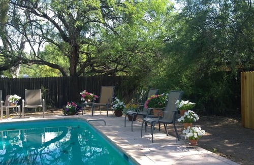 Tanque Verde Casa | One Bedroom Casita on Guest Ranch in beautiful Tanque Verde Valley in Tucson!
