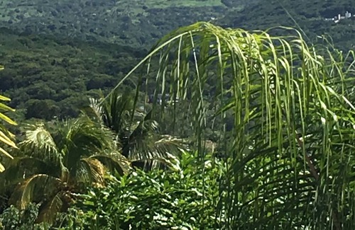 Old Towne Villa | ISLA VILLA CON VISTAS AL MAR Y LA MONTAÑA DEL CARIBE