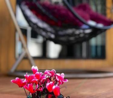 Greenlane - Ellerslie Casa | Onehunga Garden Tinyhouse with parking
