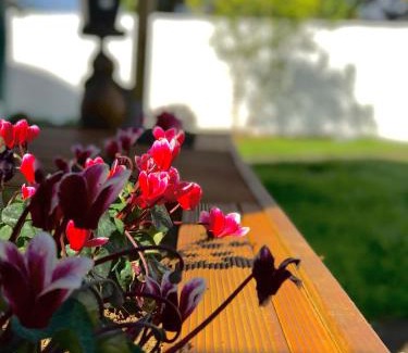 Greenlane - Ellerslie Casa | Onehunga Garden Tinyhouse with parking