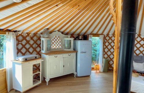 Hollandsche Rading Otro | Ons Yurt Huisje in het Bos