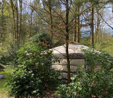 Hollandsche Rading Otro | Ons Yurt Huisje in het Bos