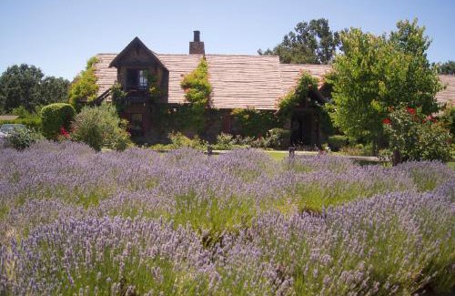 Templeton Casa | ONX WINES - Briarwood Cottage