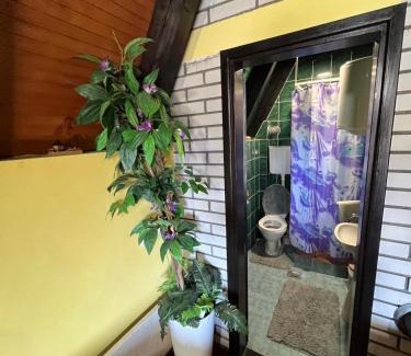 Mitrovac Casa | ooooo niooo